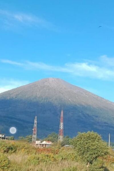 testi (1) testi (1)